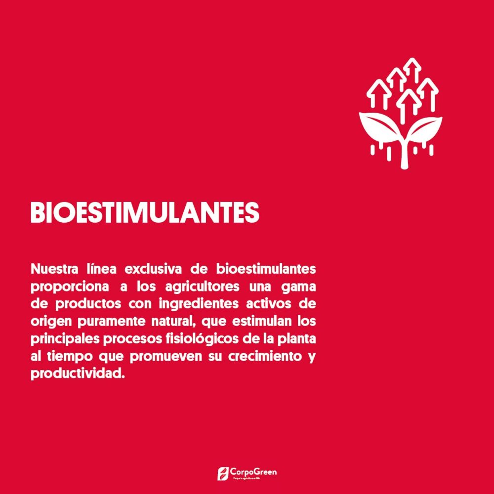 Catálogo 2023-2024-03