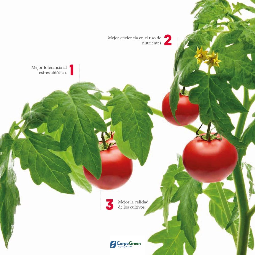 Catálogo 2023-2024-04