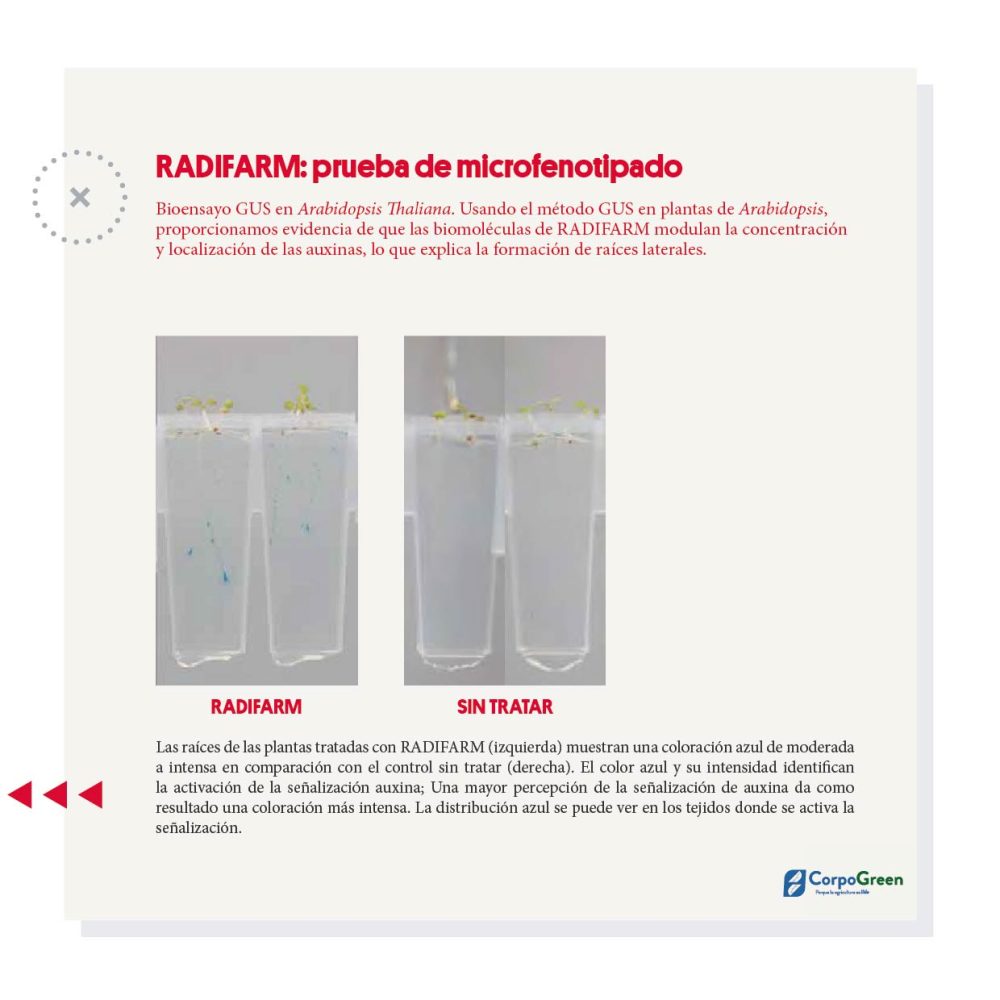 Catálogo 2023-2024-08