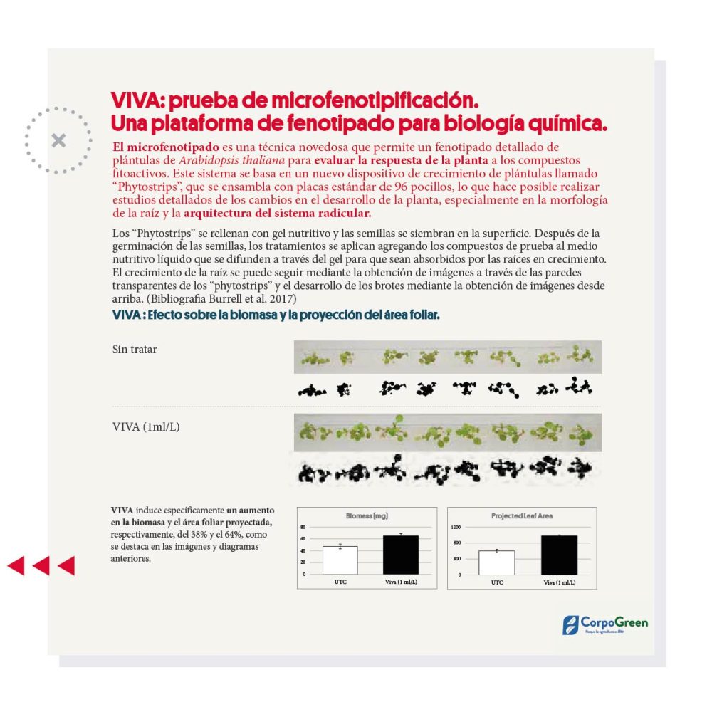 Catálogo 2023-2024-10