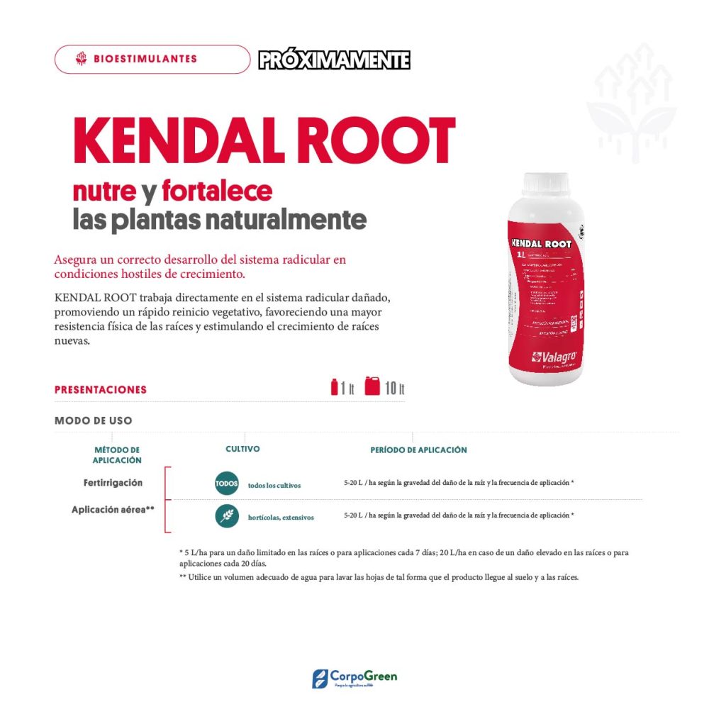 Catálogo 2023-2024-11