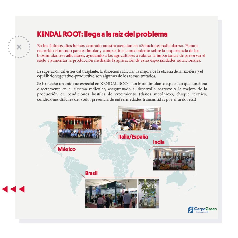 Catálogo 2023-2024-12