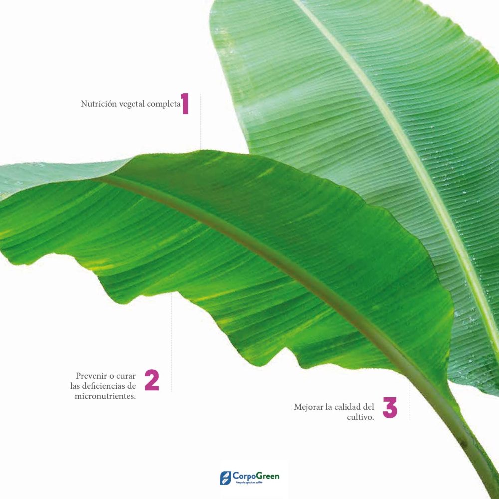 Catálogo 2023-2024-17