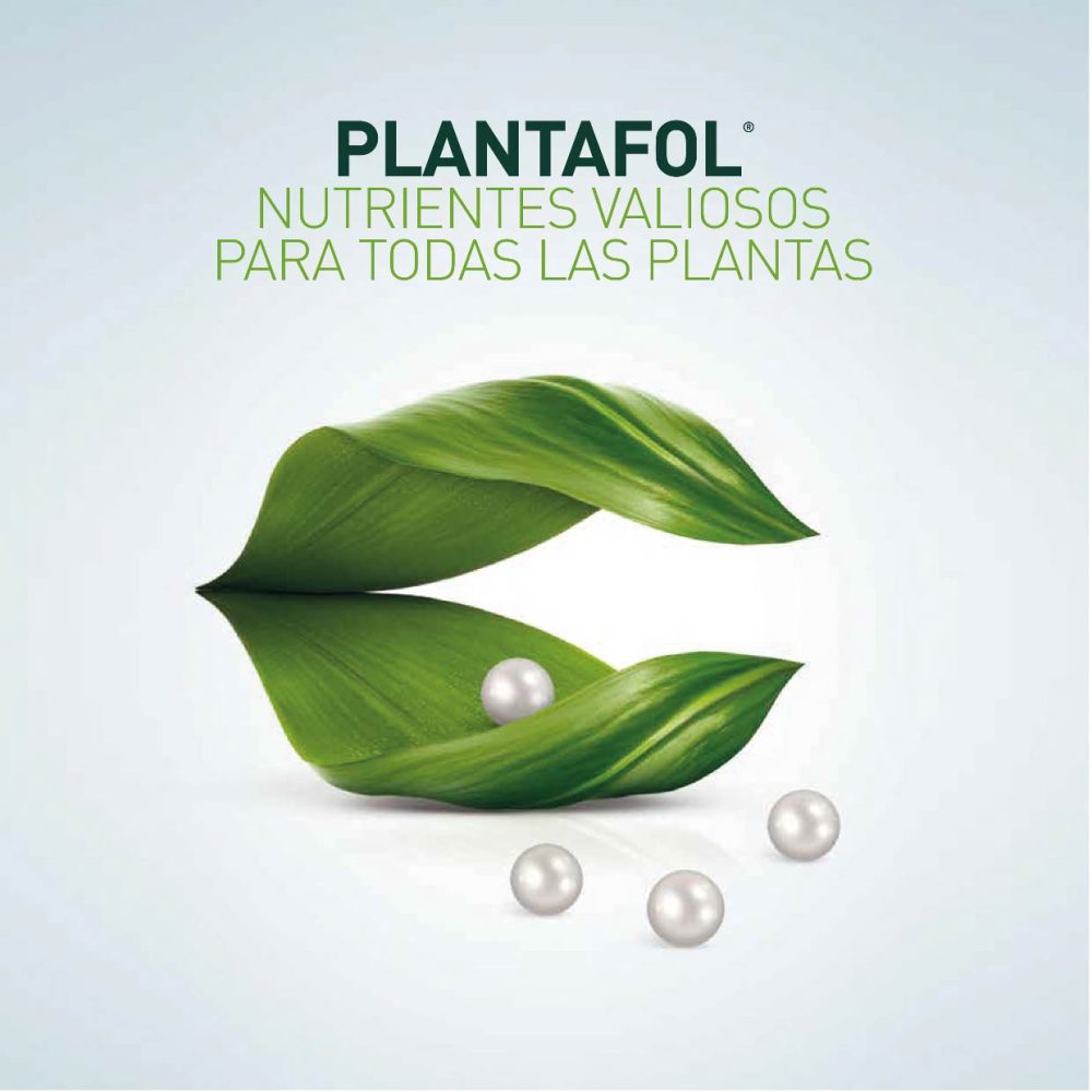 Catálogo 2023-2024-22